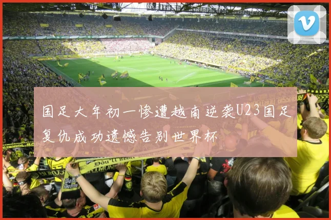 国足大年初一惨遭越南逆袭U23国足复仇成功遗憾告别世界杯