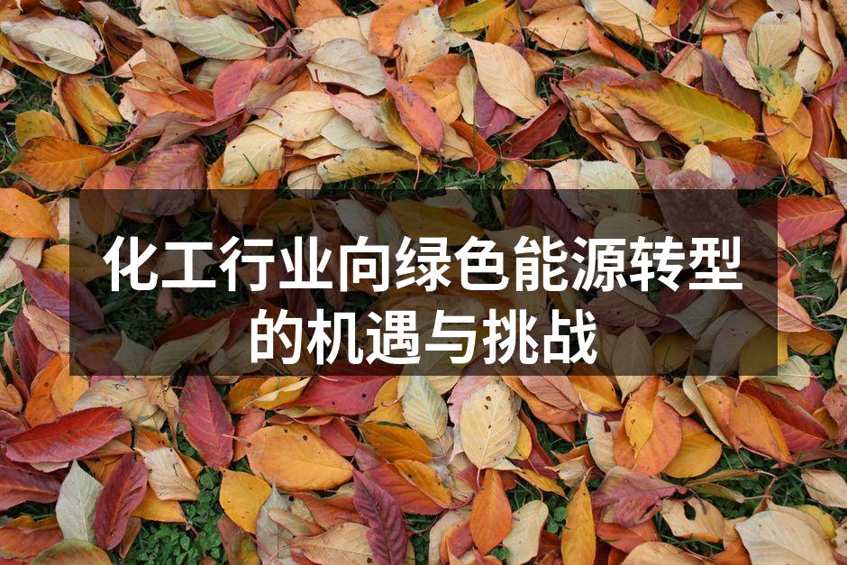 化工行业向绿色能源转型的机遇与挑战